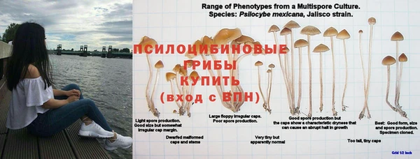 альфа пвп VHQ Алзамай