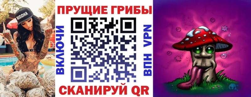 блэк спрут сайт  Жиздра  Галлюциногенные грибы Psilocybe  купить наркотики сайты 
